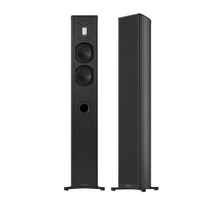 Load image into Gallery viewer, Premium 501 Floorstanding Speakers [Pair]
