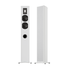 Load image into Gallery viewer, Premium 501 Floorstanding Speakers [Pair]
