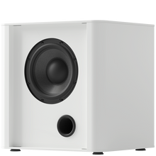Load image into Gallery viewer, PS 101 Subwoofer [Each]
